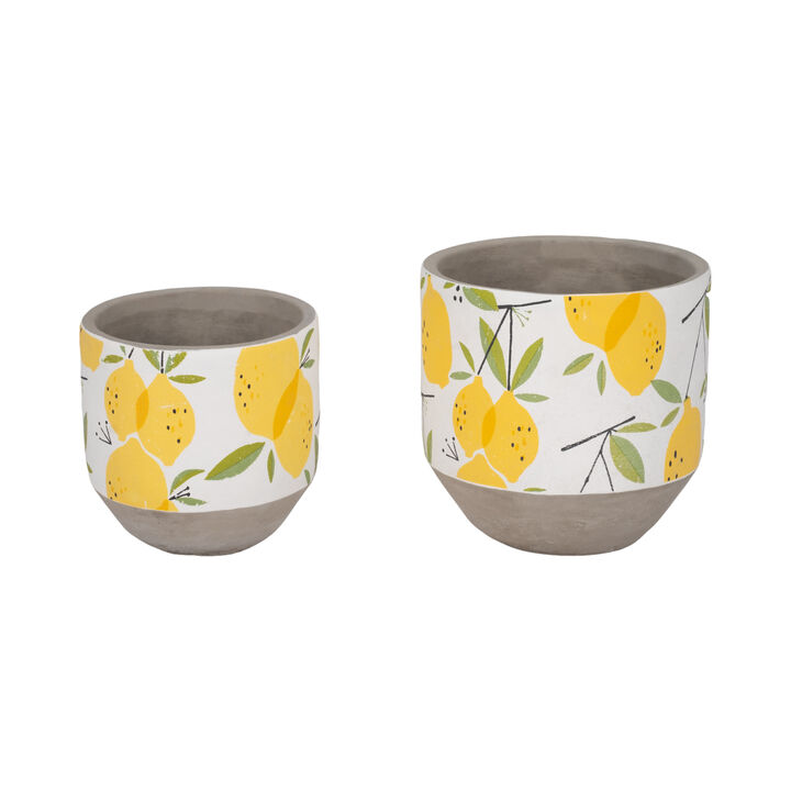 Growing Lemons Planter