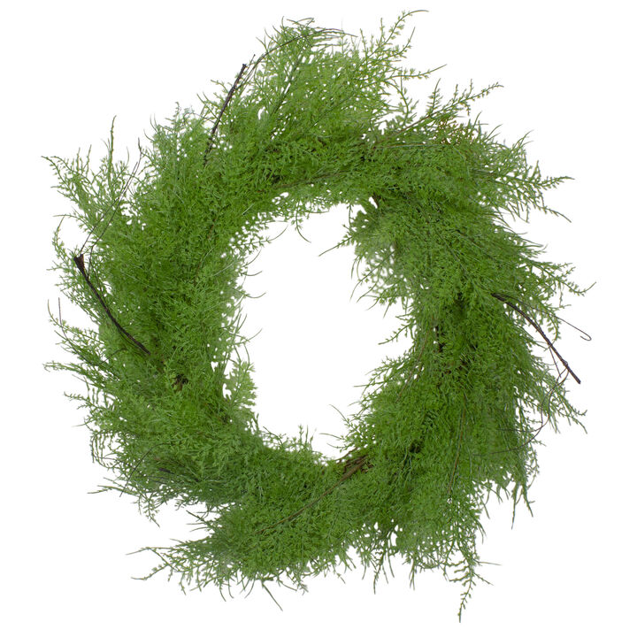 Brown and Green Cedar Christmas Wreath - 24-Inch  Unlit