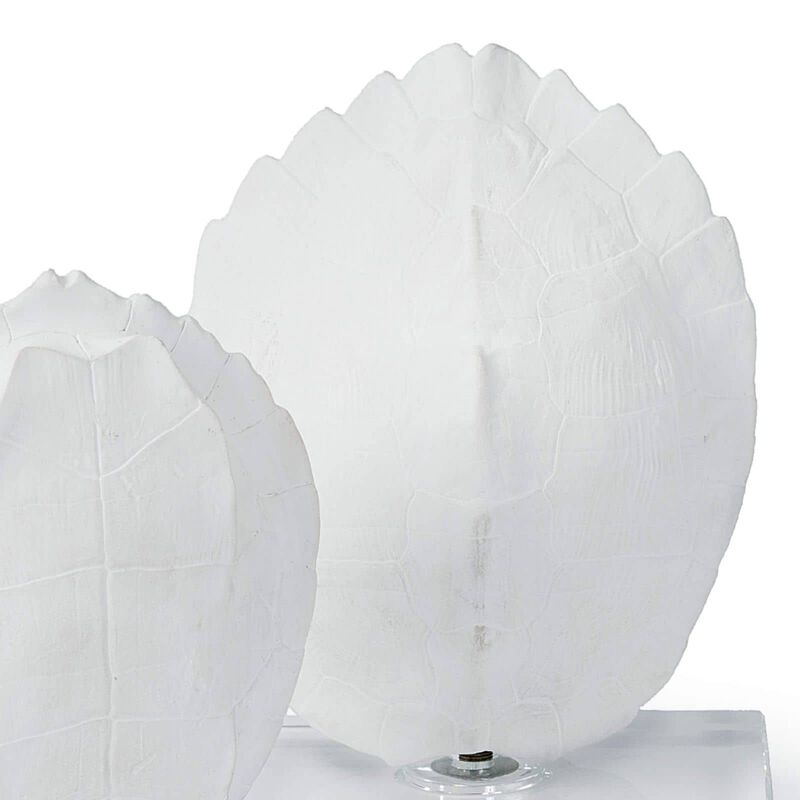 Turtle Shells On Crystal
