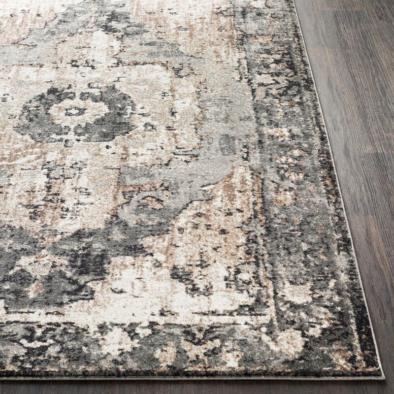 Chelsea CSA-2304 8'10' x 12' Black Rug