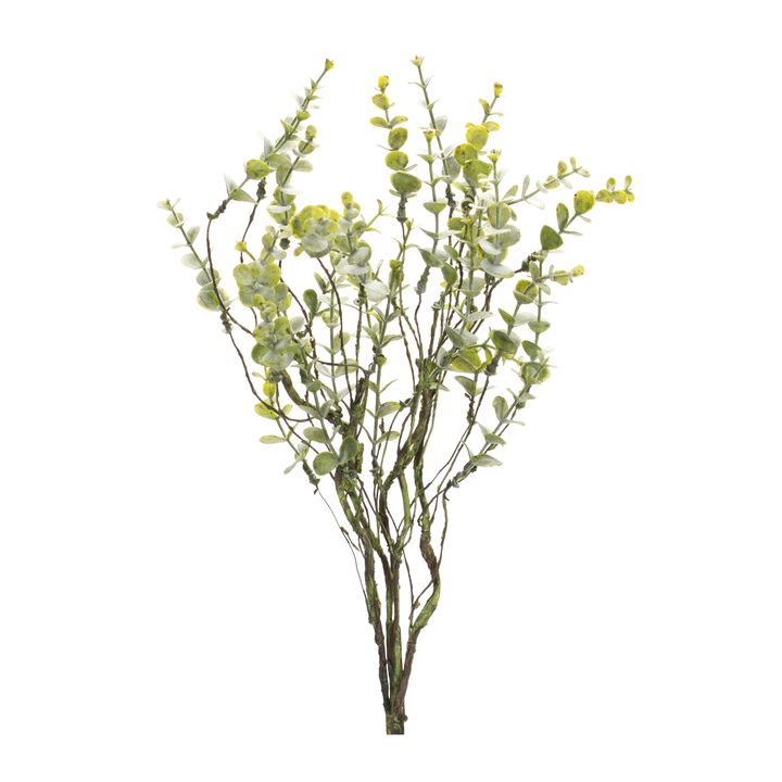 Set of 6 Boxwood Twig Foliage Sprays for Elegant Wreaths and Floral Arrangements