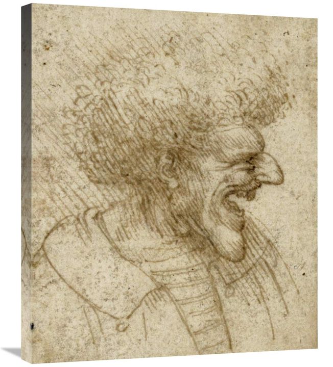 Caricature of a Man with Bushy Hair-Canvas Art-24.9x30