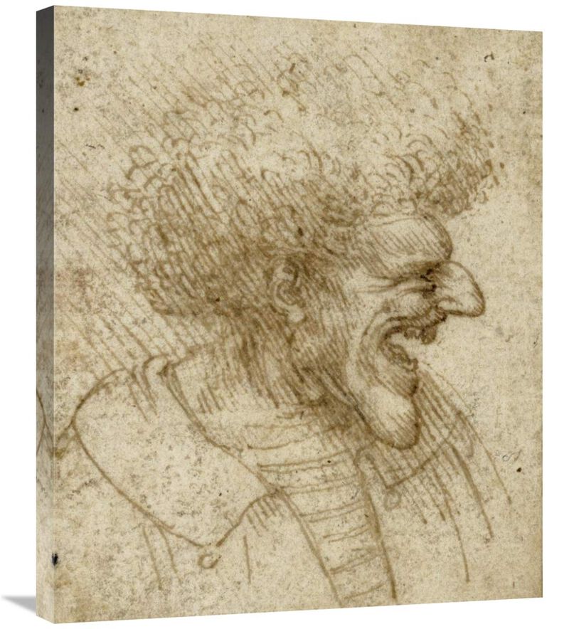 Caricature of a Man with Bushy Hair-Canvas Art-24.9x30