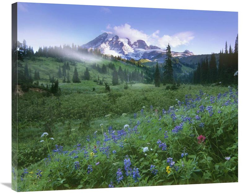 Incoming fog on Mount Rainier, Mount Rainier National Park, Washington-Canvas Art-36x29.88