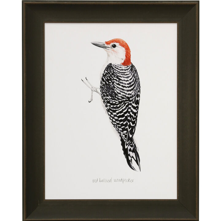 Woodpecker II Framed Print