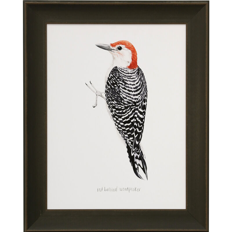 Woodpecker II Framed Print