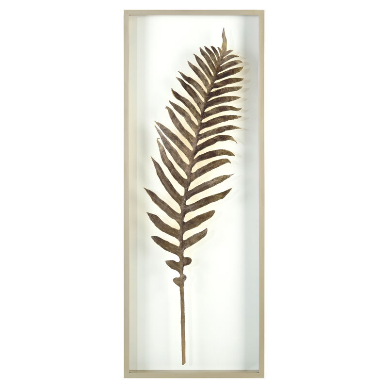 The Midas Fern I