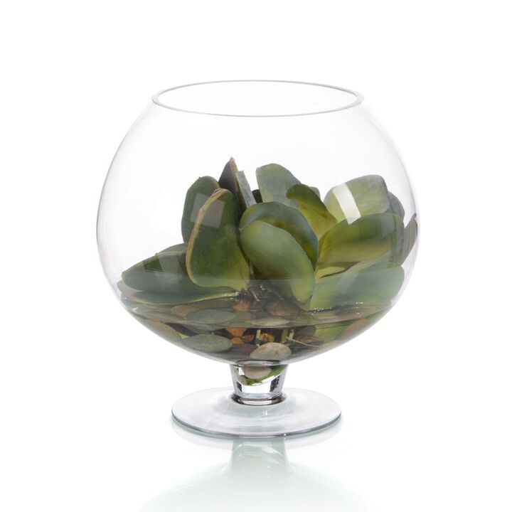 Succulent