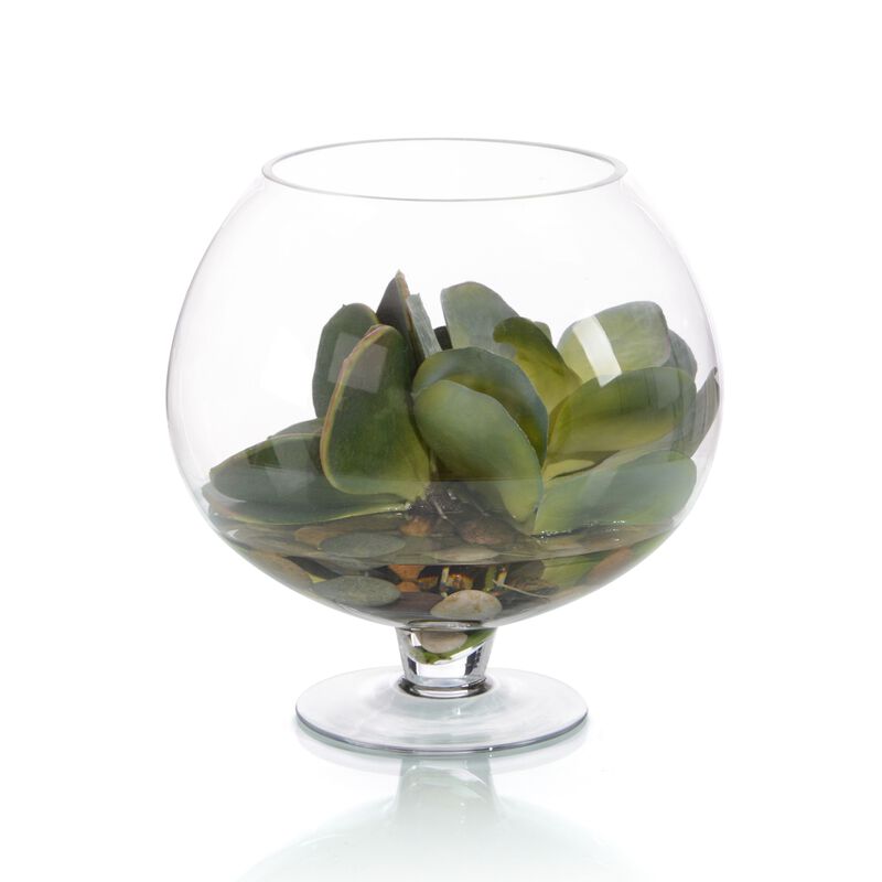 Succulent