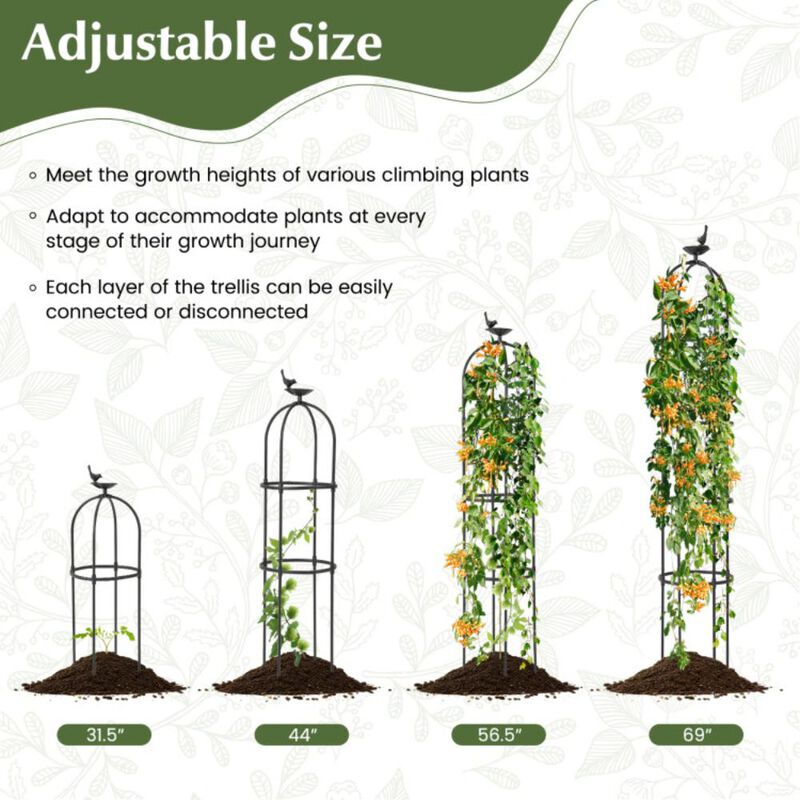 Hivvago 2-Pack Garden Obelisk Trellis for Climbing Plants