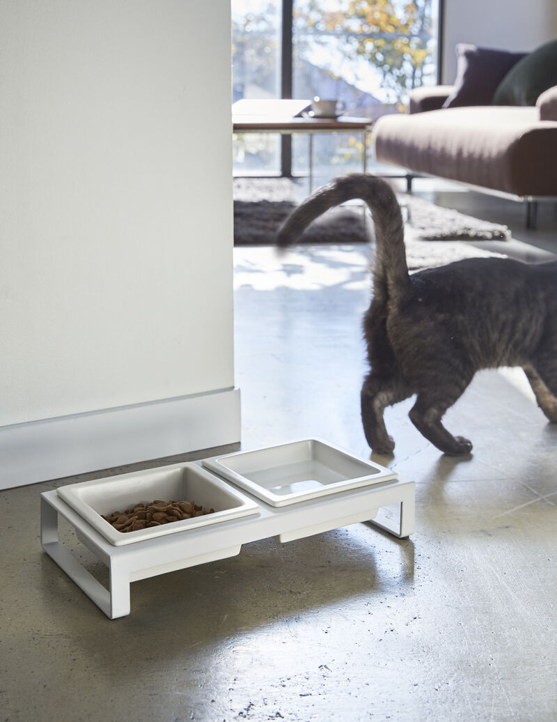 Pet Food Bowl - Two Styles