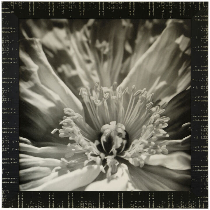 Inner Beauty Framed Print