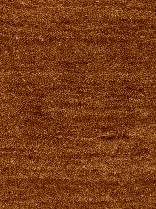 Aniston II 6' x 9' Rust Rug