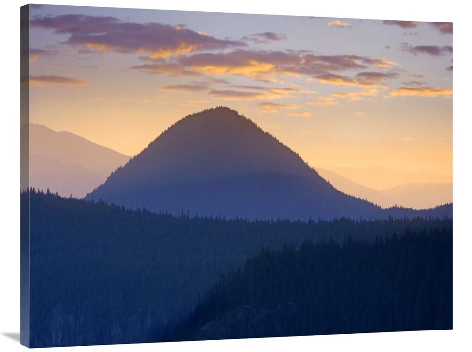 Mount Rainier from Sunrise Point, Mount Rainier National Park, Washington-Canvas Art-40x30