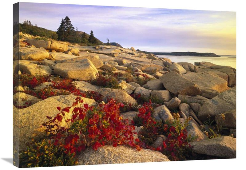 Atlantic coast near Thunder Hole, Acadia National Park, Maine-Canvas Art-32x24