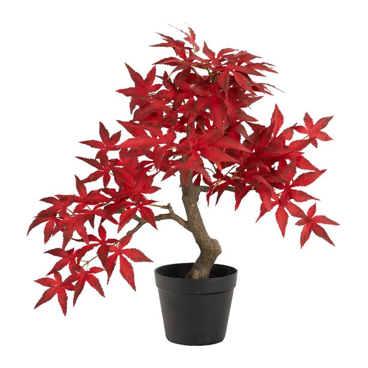 Hivvago 20 Inches Autumn Maple Bonsai