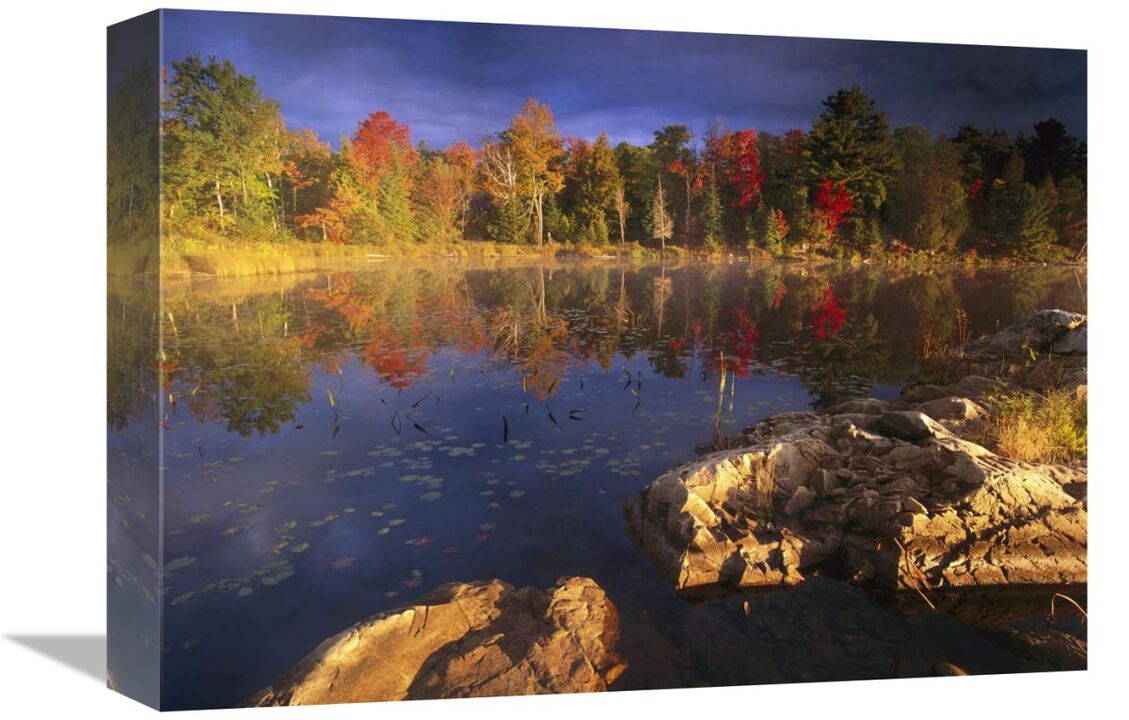 Lang Lake, fall colors, Ontario, Canada-Canvas Art-16x12