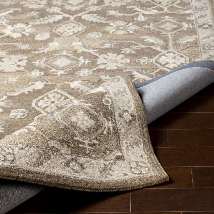 Caesar CAE-1200 2' x 3' Brown Rug