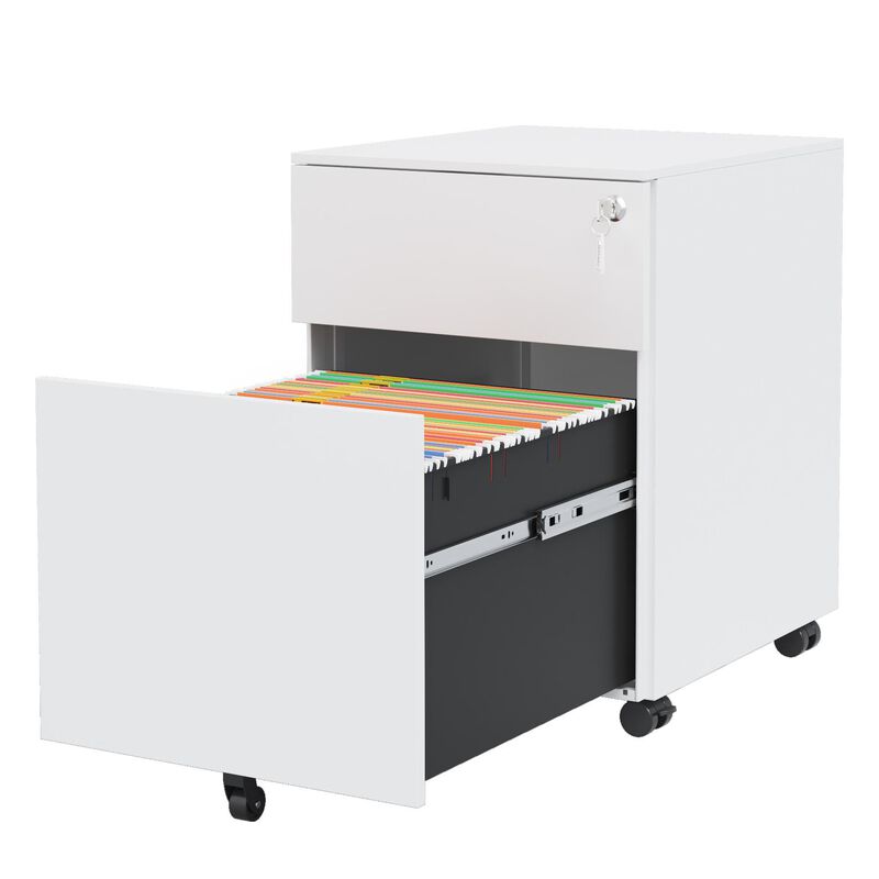 Steel 2-Drawer Mobile File Cabinet with Lock for Office and Home Use
