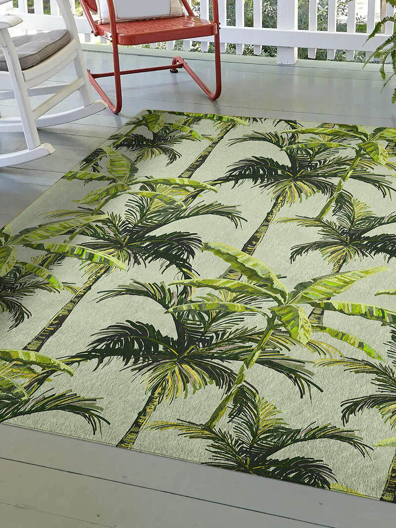 Tropics TC10 Aloe 3' x 5' Rug