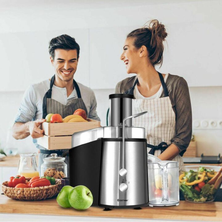 Hivvago 2 Speed Electric Juice Press for Fruit and Vegetable