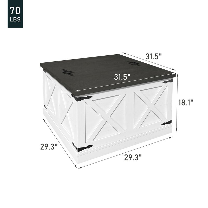 Mondawe Farmhouse Coffee Table, With Hinged Lifting Top Square Wooden Central Table