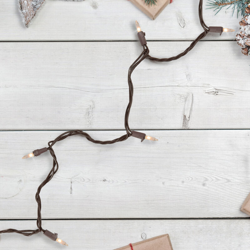 10 Count Clear Mini Christmas Light Set  5.5 ft Brown Wire