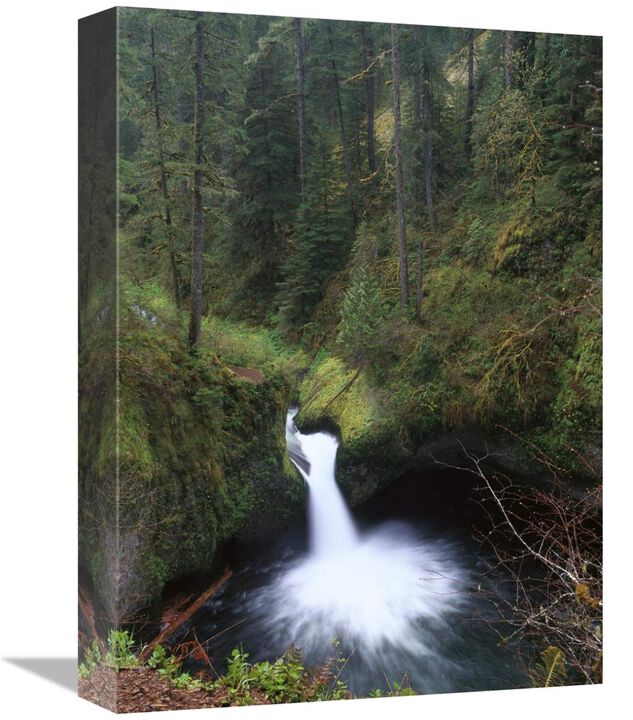 Punchbowl Falls at Eagle Creek, Columbia River Gorge, Oregon-Canvas Art-12x16