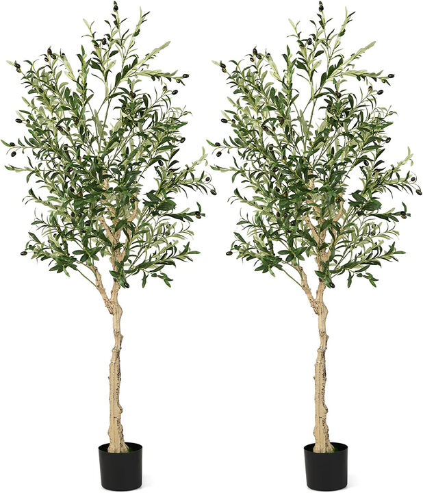 6 Feet  Artificial Olive Tree in Cement Pot