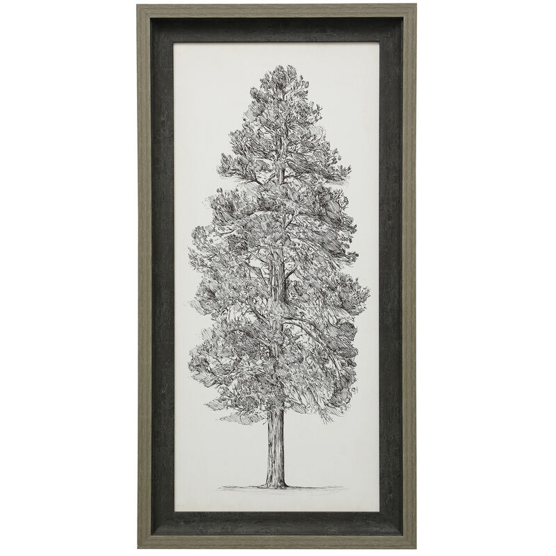 Pacific Northwest Tree II Framed Print