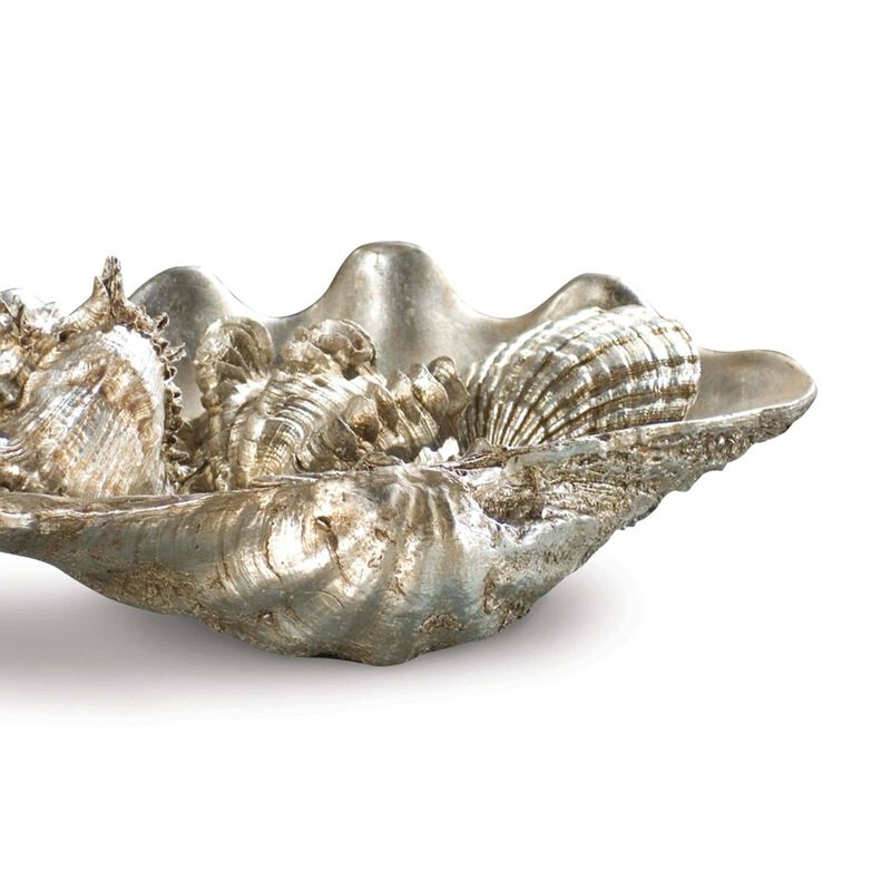 Clam Shell Medium with Small Shells