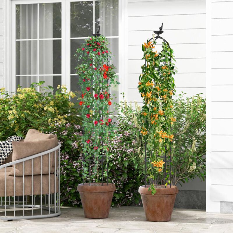 Hivvago 2-Pack Garden Obelisk Trellis for Climbing Plants