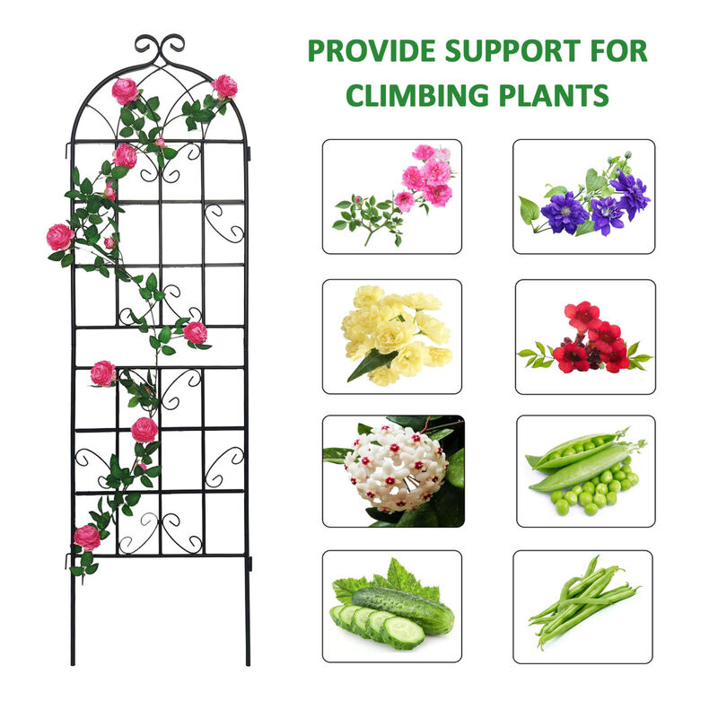 Streamdale Metal Garden Trellis 71" x 19.7" for Climbing Plants
