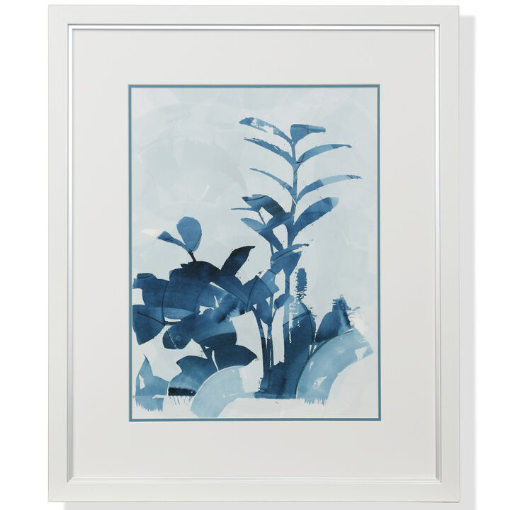 Framed Print Under Glass