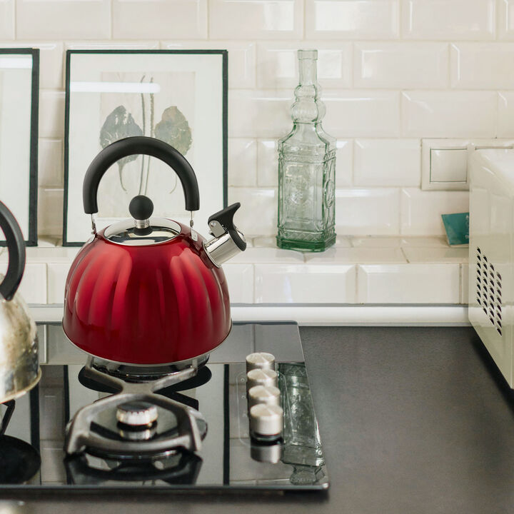 Mr. Coffee Twining 2.1 Quart Pumpkin Tea Kettle in Red