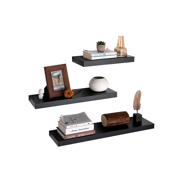 Wall Mounted Floating Shelf - Vintage Style Hanging Shelves for Photos and Decor