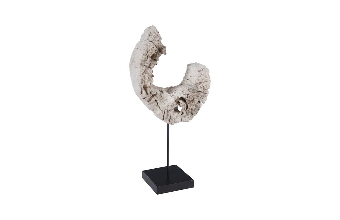 Wood C Sculpture on Stand