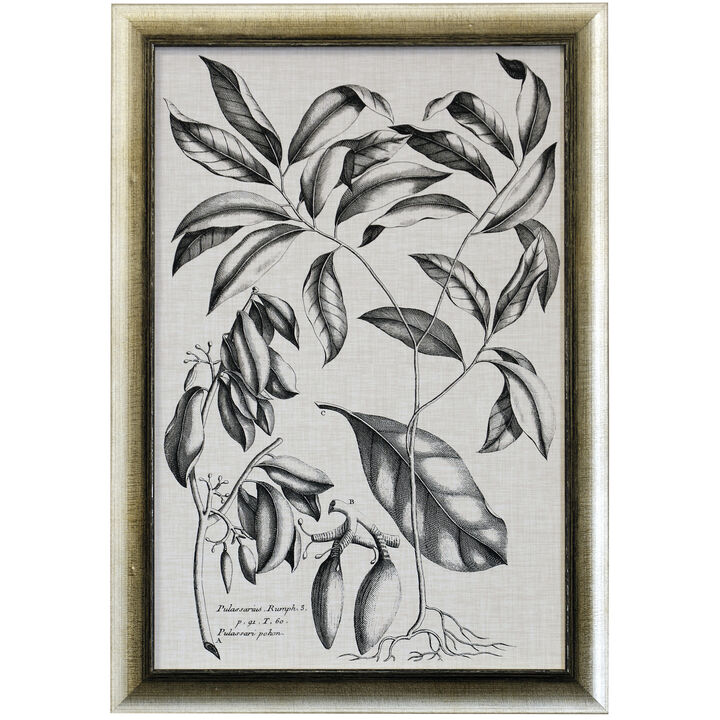 Black & Oatmeal Botanical