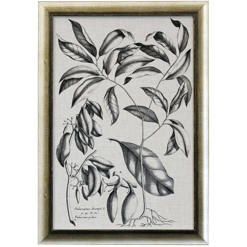 Black & Oatmeal Botanical
