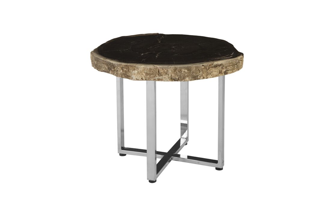 Petrified Wood Coffee Table
