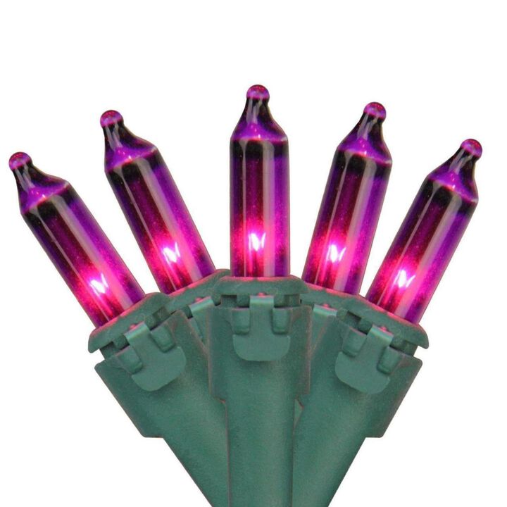 50-Count Purple Mini Christmas Light Set  24.5ft Green Wire