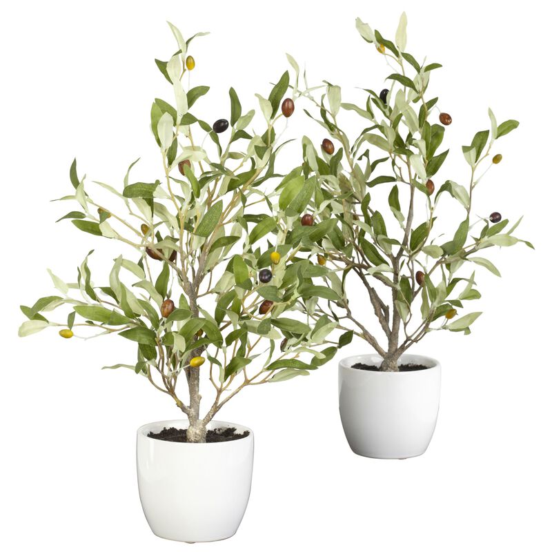 Hivvago 18" Olive Silk Tree w/Vase (Set of 2)