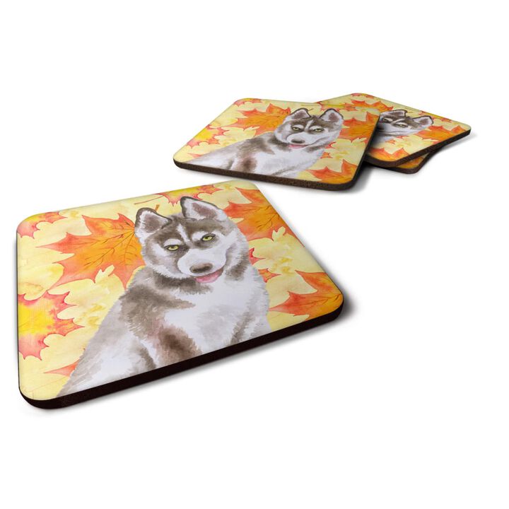 Caroline's Treasures Siberian Husky Grey Fall Decorative coasters, Multicolor