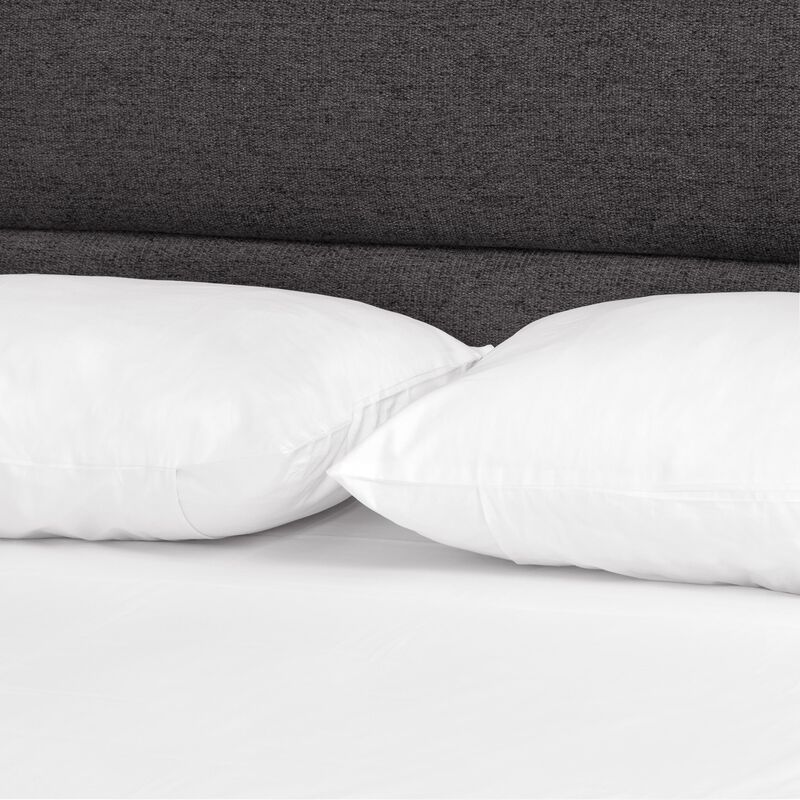 Daphne Queen Bed