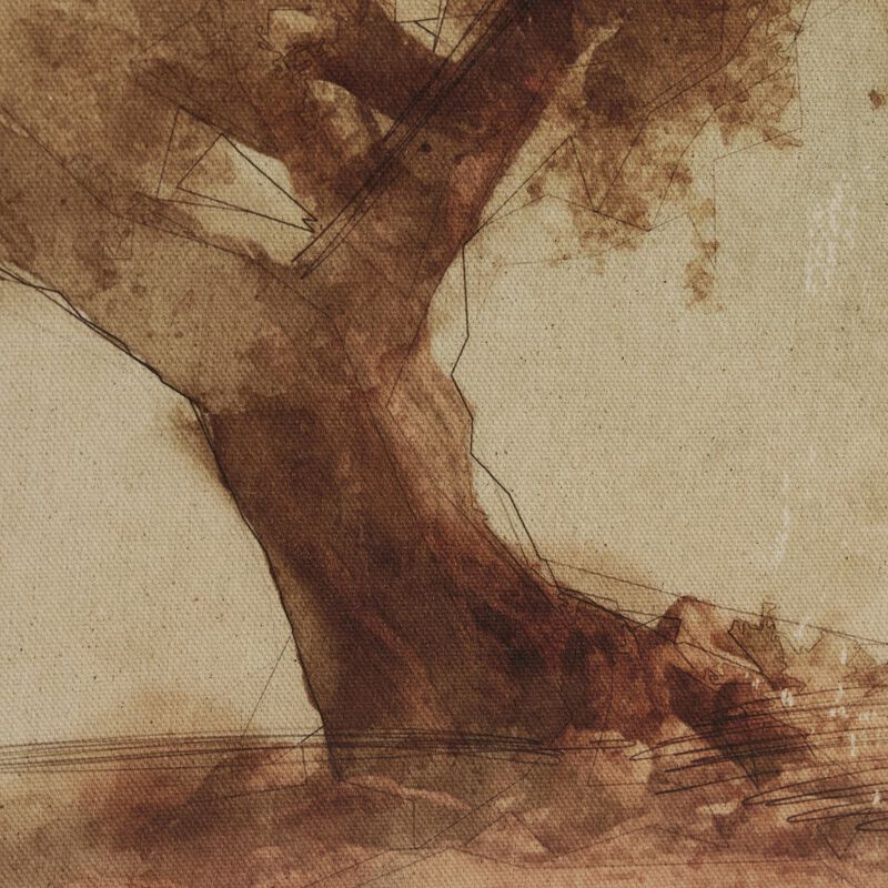 Undone Cypress By C. D'Esprit