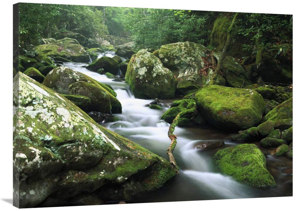 Roaring fork river, Great Smoky Mountains National Park, Tennessee-Canvas Art-40x30