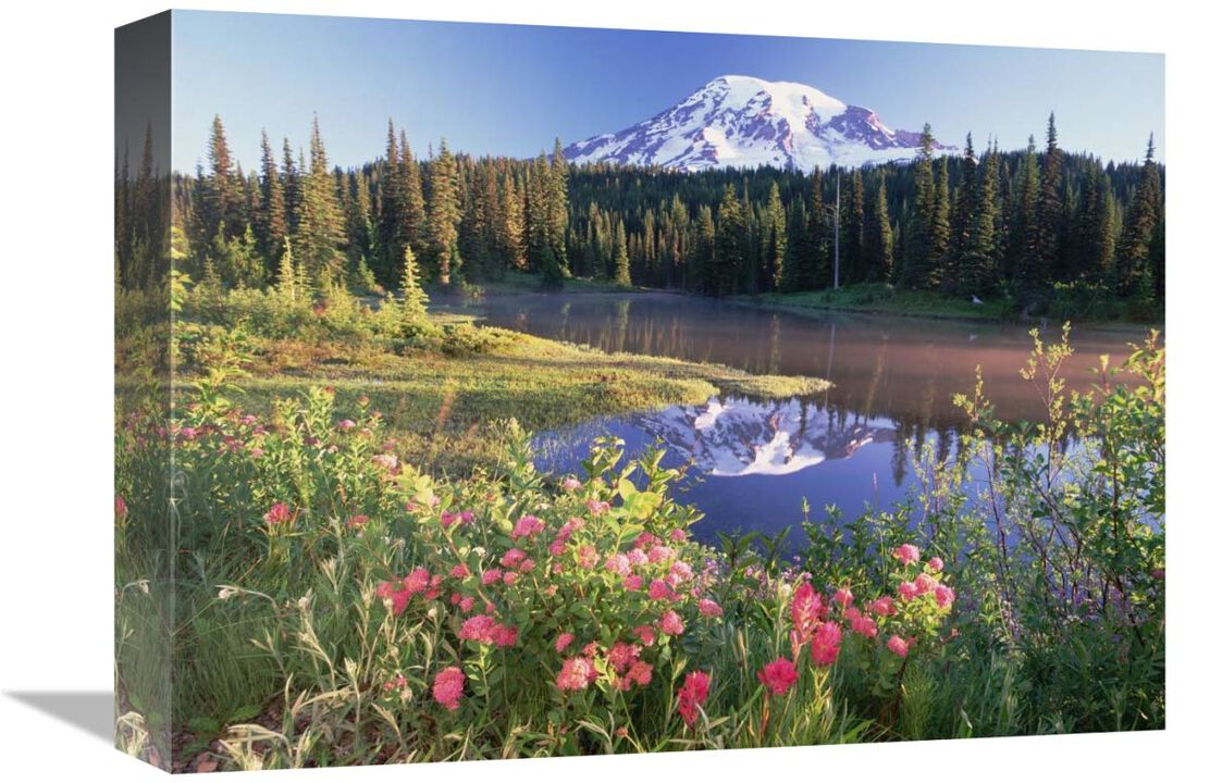 Mt Rainier and wildflowers at Reflection lake, Mt Rainier National Park, Washington-Canvas Art-16x12