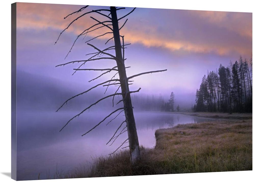 Yellowstone Lake, Yellowstone National Park, Wyoming-Canvas Art-40x30