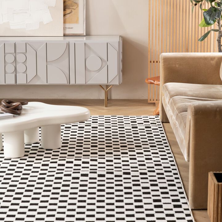 Maise Checkered Modern Black White Indoor Outdoor Area Rug