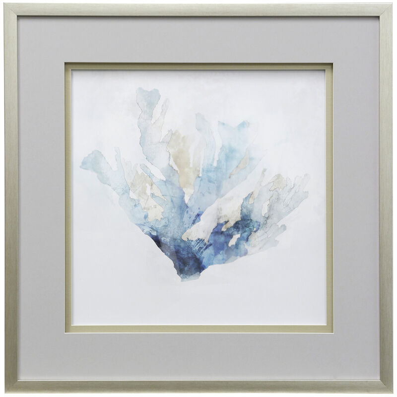 Blue Coral Reef II Framed Print